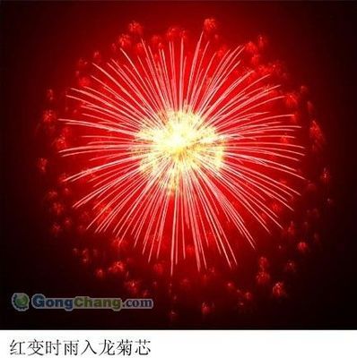 南宁市双人舞公关礼仪营销策划 舞动东盟，礼悦天下